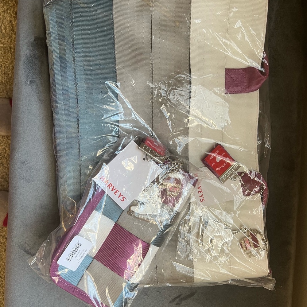 Harveys On Ice Tote & Wallet - Seatbelt Bag